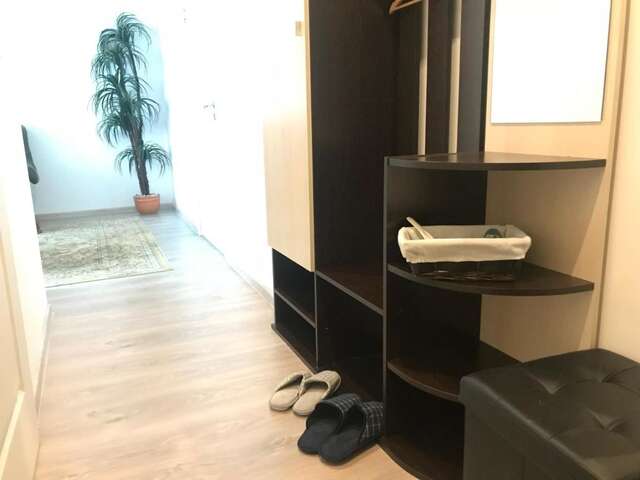 Апартаменты Fine Apartment 2 Елгава-15