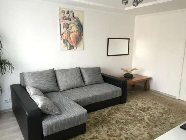 Апартаменты Fine Apartment 2 Елгава-5